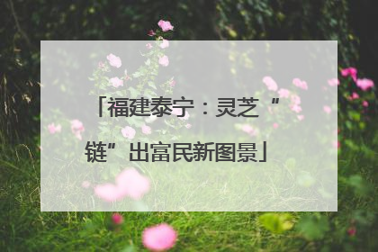 福建泰宁：灵芝“链”出富民新图景
